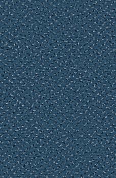 Preview: Rechteckbild vom Alexis